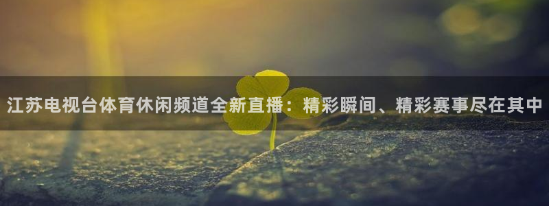 巅峰国际官网：江苏电视台体育休闲频道全新直播：精彩瞬间、精彩赛事尽在其中